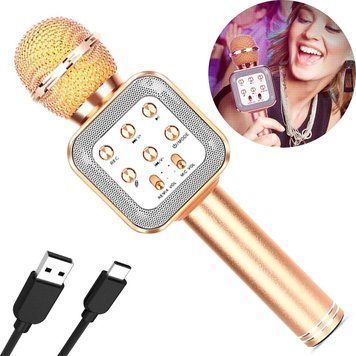 Беспроводной микрофон караоке с Bluetooth и USB, DM Karaoke WS 1818 234565794 фото