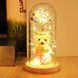 Вечная Роза в колбе с мишкой 21 см + подсветка / Ночник вечная роза / Подарочная роза любимой 234569464 фото 1