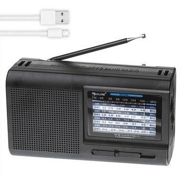 Радиоприемник от USB, Golon RX 3040, Черный / Аккумуляторное радио / Беспроводной радиоприемник FM 234572427 фото